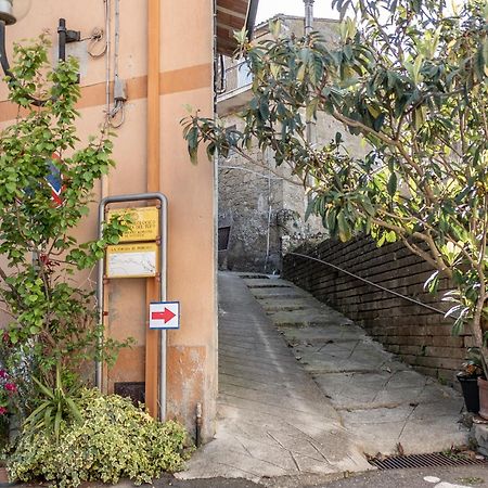 산퀴리코 Casina Di Tufo A 5 Minuti Da Sorano E Pitigliano, Wi-Fi 빌라 외부 사진